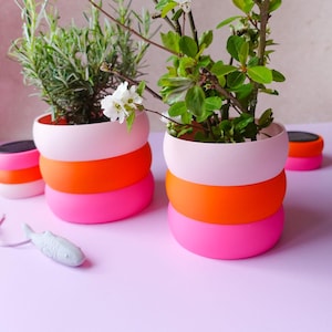 Può includere: Vibranti fioriere impilate in rosa, arancione e bianco, con piante verdi e fiorite. Il design moderno e colorato presenta un effetto a strati, con un piccolo ornamento bianco a forma di pesce in primo piano. Un'aggiunta elegante.