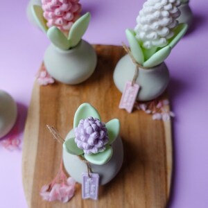 May include: A collection of decorative floral arrangements. Each arrangement features a pastel-colored flower, green leaves, and a small tag, set in a small, light green vase. The arrangements are displayed on a wooden board against a purple background.