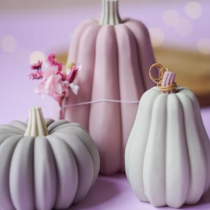 Op de afbeelding: Drie decoratieve pompoenen in matte tinten van oudroze, lichtgrijs en off-white. De grootste roze pompoen is versierd met een klein bosje gedroogde roze bloemen vastgebonden met een dun touwtje, terwijl de kleinste pompoen is voorzien van een ijzerdraadje.