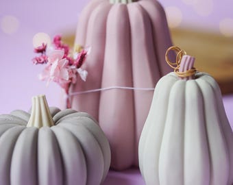 May include: Three decorative pumpkins in matte shades of dusty pink, light grey, and off-white. The tallest pink pumpkin is adorned with a small cluster of dried pink flowers tied with a thin string, while the smallest pumpkin features a coiled wire.