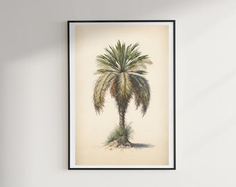 Tropical Palm Tree - Digital Poster - Decorate your Home with the Charm of Paradise