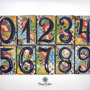 Handmade Colorful Flower Talavera Mexican Tile House Street Numbers. FREE SHIPPING.