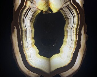 Two-Piece Onyx Stone Backlit Art Piece Wall Decor