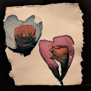 Us polaroid emulsion lift