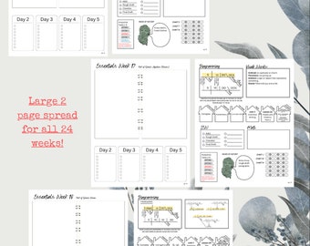 Weekly Planner Essentials Cycle 3
