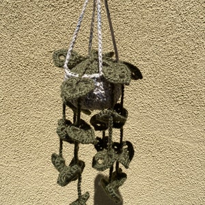 Hanging Crochet Plant