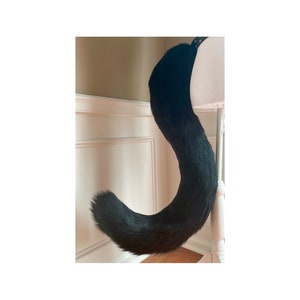 Queue de chat Fursuit