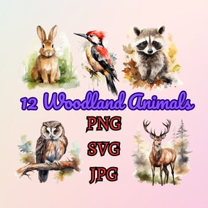 Bosque animales Clip Art paquete Forrest animales Clip Art acuarela bosque zorro oso ciervo búho conejo lobo ardilla mapache ardilla
