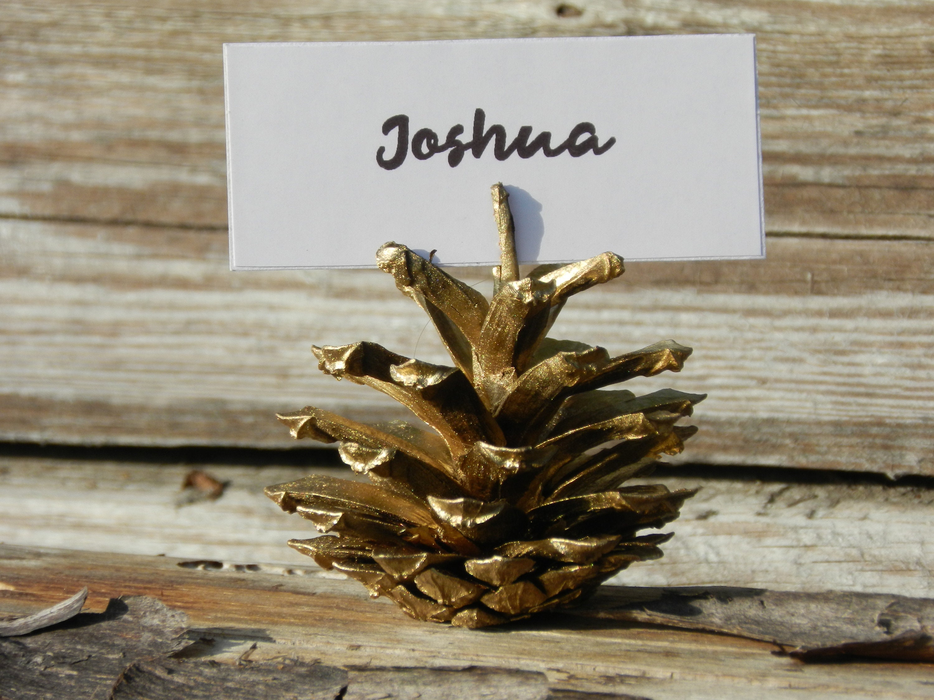 10 Pine Cone Place Card Holders Etsy