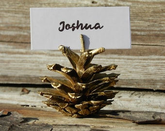 10 Pine Cone Place Card Holders