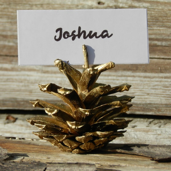 10 Pine Cone Place Card Holders