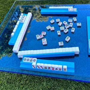 May include: A Mahjong set with blue tile holders and a blue playing surface. The tiles are white with various symbols and characters. The set is arranged on a clear, square surface, with green grass in the background.