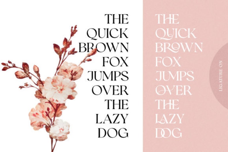 Modern Retro Bundle Ligature Fonts, Serif Fonts, Procreate Fonts, Canva