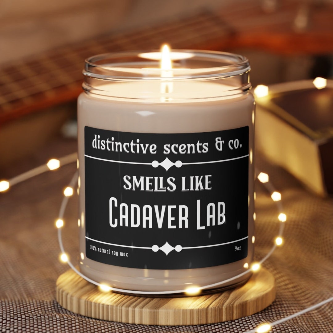 Cadaver Lab, Funny Candle, Smells Like Formaldehyde, Adult Humor