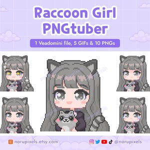 Cute Raccoon Girl PNGtuber Veadotube Mini for Twitch Streamer | Raccoon Girl PNG tuber