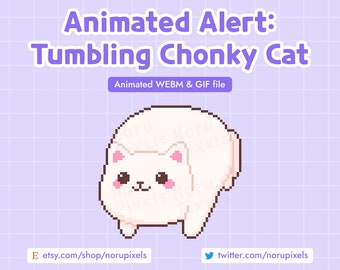 Alerta de gato branco pixelado animado no Twitch | Alerta de stream com gato rolando | Alerta de gato gordinho fofo no Twitch | Alerta de doação de inscrição presenteada para seguidores