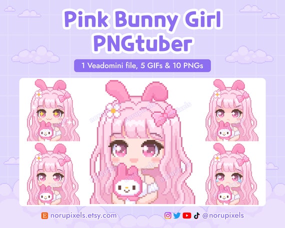 Kawaii Girl Chibi PNGtuber Veadotube Mini for Twitch Streamer | Cute Bunny PNG tuber - 5 expressions