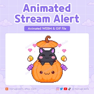 Animated Cute Cat Pumpkin Twitch Stream Alert | Twitch Donation Subscriber Raid Alert | Cute Spooky Halloween Twitch Stream