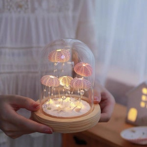 Handmade Shell Night Lamp: A Cozy and Homely Addition to Your Space