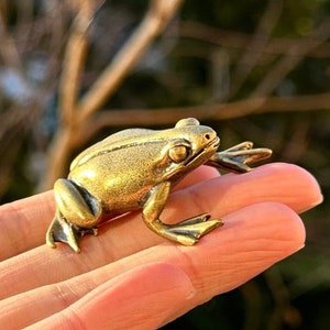 Brass frog