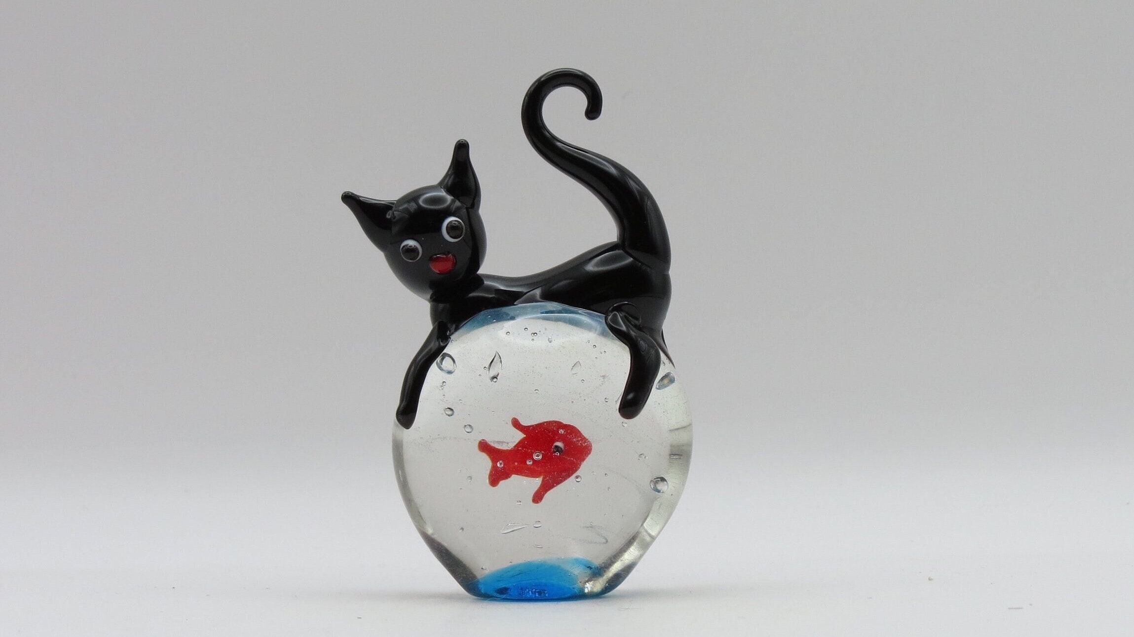 Glass Cat Fish 