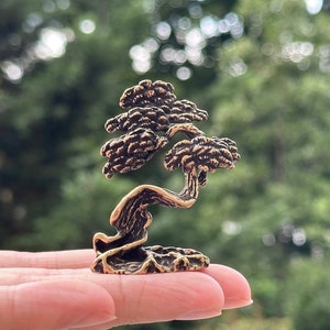 中国天然石 山石 盆栽 水石 アラシャン砂漠 ゴビ石 113001 - Etsy 日本