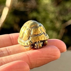 Brass turtle