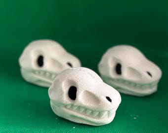 Dinosaur Skull Bath Bombs: Natural & Organic, Kids Safe
