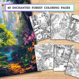 40 枚の魔法の森の複雑な塗り絵のダウンロード可能な塗り絵ページ リラクゼーション塗り絵 マインドフルネス塗り絵シート
