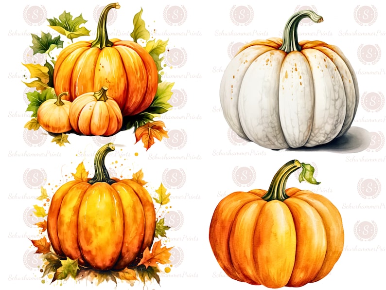 May include: Four watercolor pumpkins, two orange and two white, with green stems and leaves. The pumpkins are arranged in pairs, with the orange pumpkins on the left and right and the white pumpkins in the center.