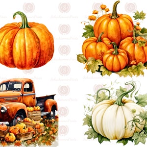 May include: A set of four watercolor illustrations featuring pumpkins. The first image shows a single orange pumpkin. The second image shows a group of four orange pumpkins with green leaves. The third image shows a vintage red truck with pumpkins in the back. The fourth image shows a white pumpkin with green vines.