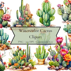 Aquarel Cactus Clipart, woestijncactus clipart, woestijncactussen, sappige clipart, PNG-formaat, instant download, commercieel gebruik