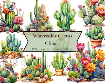 Watercolor Cactus Clipart, desert cactus clipart, desert cacti, succulent clipart, PNG format, instant download, commercial use