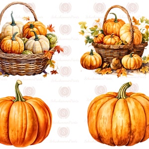 May include: A basket filled with orange and white pumpkins, surrounded by autumn leaves. Two additional pumpkins are on the ground next to the basket.