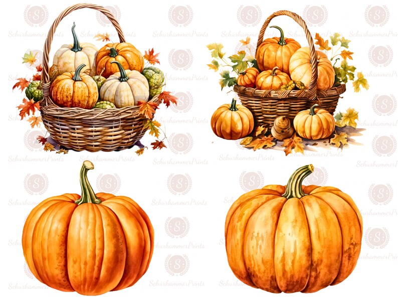 May include: A basket filled with orange and white pumpkins, surrounded by autumn leaves. Two additional pumpkins are on the ground next to the basket.