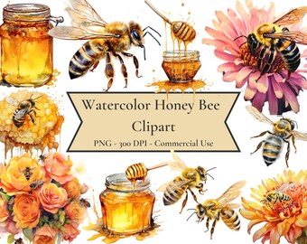 Watercolor Honey Bee Clipart, Summer, Spring garden bee clipart, honey drip clipart, PNG, Instant Download, Commercial Use