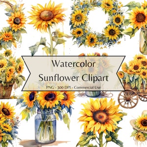 Watercolor Sunflower Clipart, summer clipart, sunflower floral bouquets in PNG format, instant download for commercial use