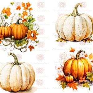 May include: Four watercolor pumpkins, two white and two orange, with fall leaves and vines. The white pumpkins are on a white background, while the orange pumpkins are on a white background with fall leaves and vines.
