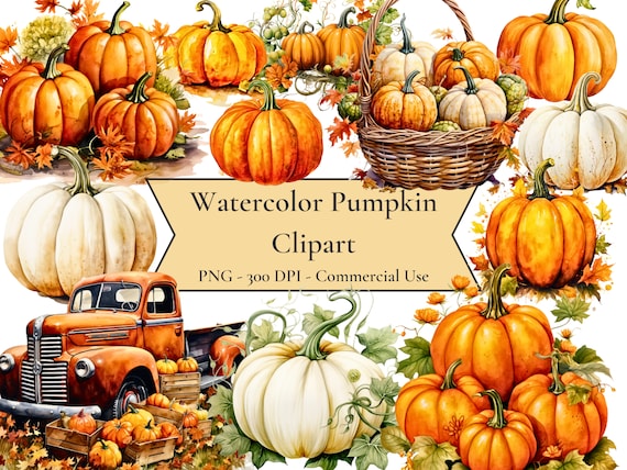Watercolor Pumpkin Clipart, autumn clipart, Halloween clipart, fall clipart, PNG format, instant download for commercial use