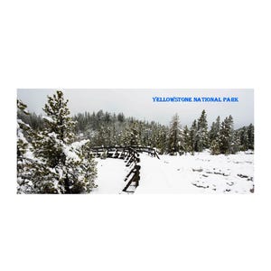 Cartoline del Parco Nazionale di Yellowstone. Set di 5.