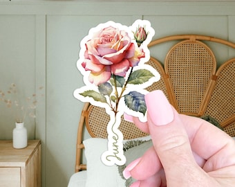 June Birth Flower Sticker Gift for Her Laptop Sticker for Water Bottle Sticker Birth Flower Gift Stocking Stuffer Floral Sticker