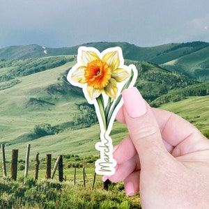 Pegatina de flor de nacimiento de marzo, regalo para su computadora portátil, pegatina para botella de agua, regalo de flor de nacimiento, relleno de medias, pegatina floral