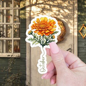 Octubre Nacimiento Flor Pegatina Regalo para su pegatina portátil para botella de agua Pegatina Nacimiento Flor Regalo Media Relleno Floral Pegatina