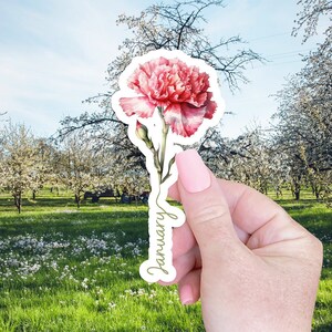 Pegatina de flor de nacimiento de enero, regalo para su computadora portátil, pegatina para botella de agua, regalo de flor de nacimiento, relleno de medias, pegatina floral
