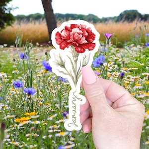 Pegatina de flor de nacimiento de enero, regalo para su computadora portátil, pegatina para botella de agua, regalo de flor de nacimiento, relleno de medias, pegatina floral