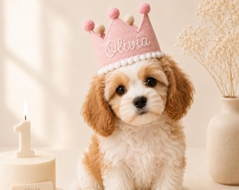 Corona personalizzata per il compleanno degli animali domestici, cappellino personalizzato per il compleanno del cane, corona per il primo compleanno, cappellino per feste con nome ricamato, accessorio per foto di compleanno del cucciolo