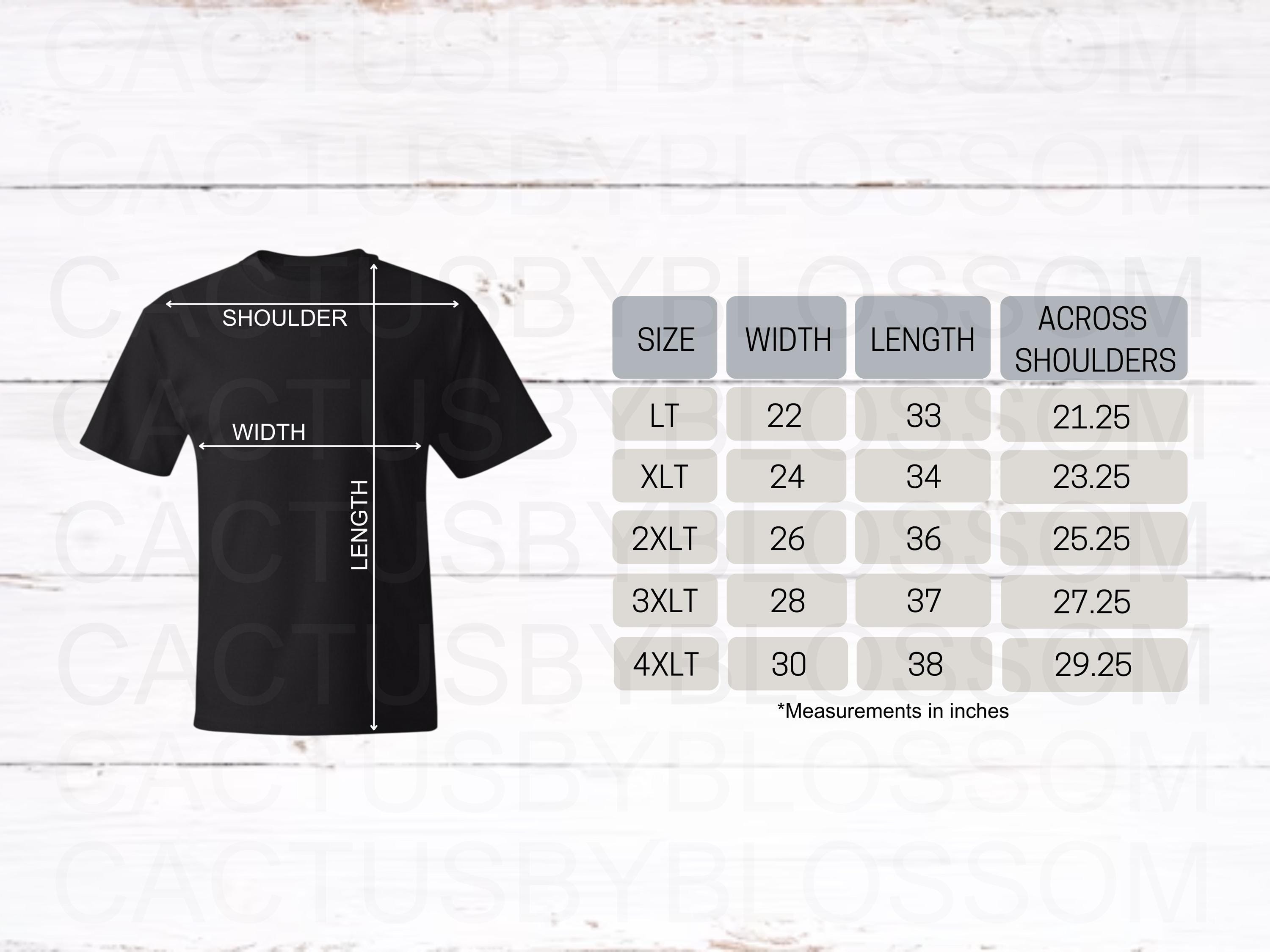 2 Size Chart Hanes 518T Mockup Chart for Beefy-t Tall T-shirt