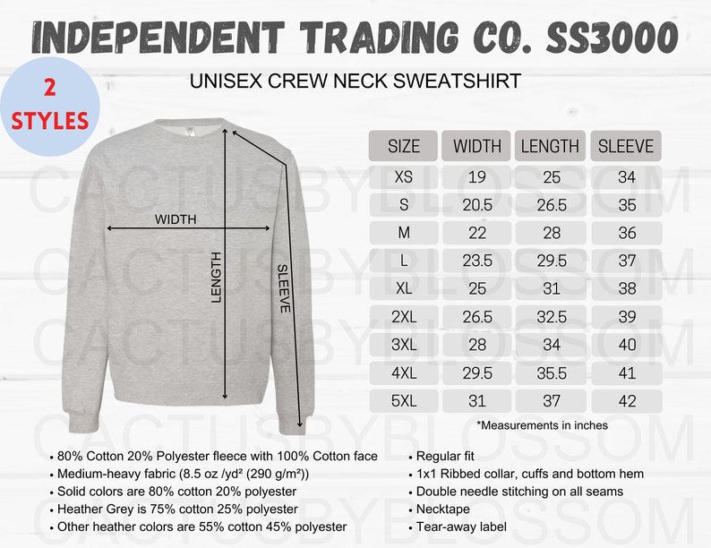 2 Size Chart Independent Trading Company SS3000 Mockup Chart Unisex