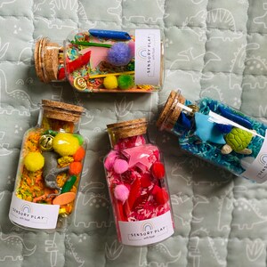 Sensory Shakers Sensory Toys Sensory Kit Sensory Play Sensory Rainbow ...