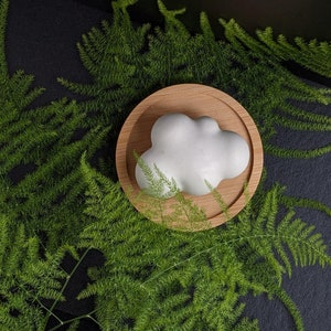 May include: A white ceramic cloud-shaped sculpture sits on a wooden tray with a green fern background.